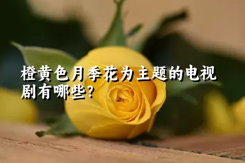 橙黄色月季花为主题的电视剧有哪些？