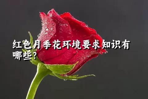 红色月季花环境要求知识有哪些？