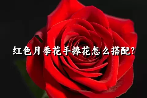 红色月季花手捧花怎么搭配？