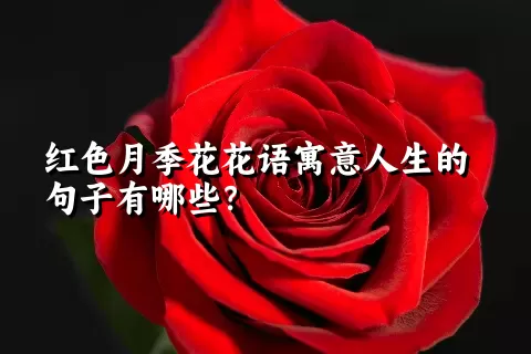 红色月季花花语寓意人生的句子有哪些？