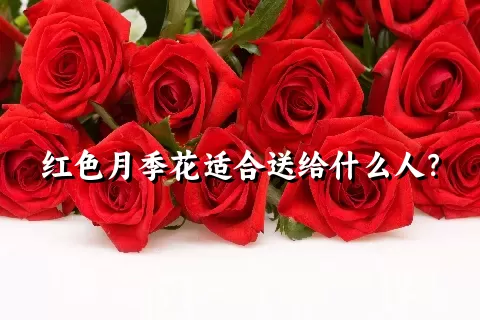 红色月季花适合送给什么人？