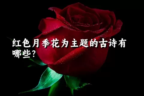 红色月季花为主题的古诗有哪些？