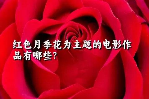 红色月季花为主题的电影作品有哪些？