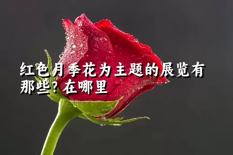 红色月季花为主题的展览有那些？在哪里