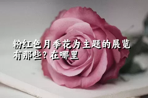 粉红色月季花为主题的展览有那些？在哪里