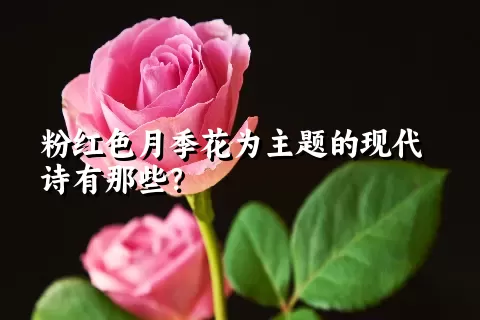 粉红色月季花为主题的现代诗有那些？