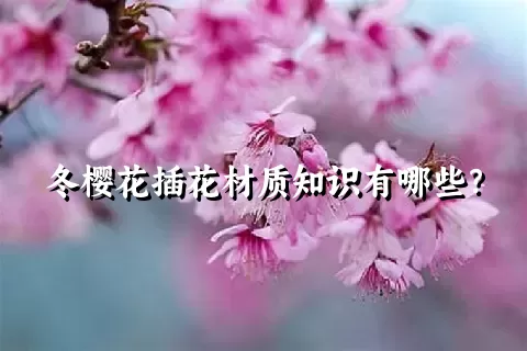 冬樱花插花材质知识有哪些？