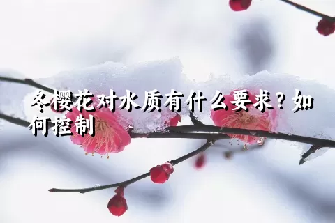 冬樱花对水质有什么要求？如何控制