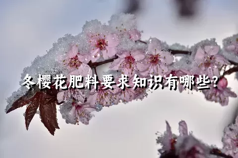 冬樱花肥料要求知识有哪些？