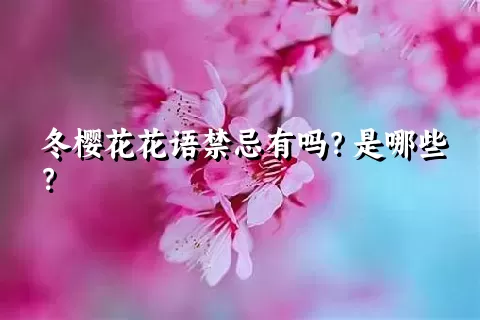 冬樱花花语禁忌有吗？是哪些？