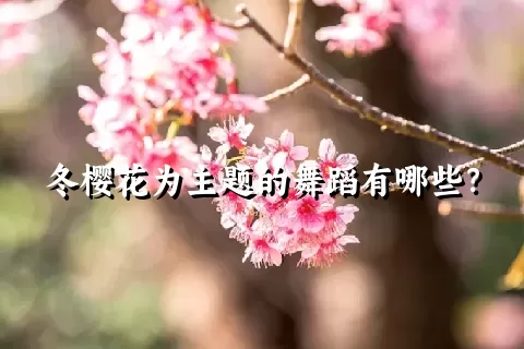 冬樱花为主题的舞蹈有哪些？