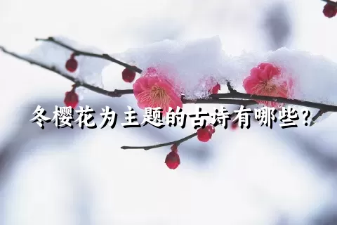 冬樱花为主题的古诗有哪些？