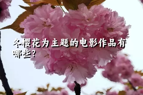 冬樱花为主题的电影作品有哪些？