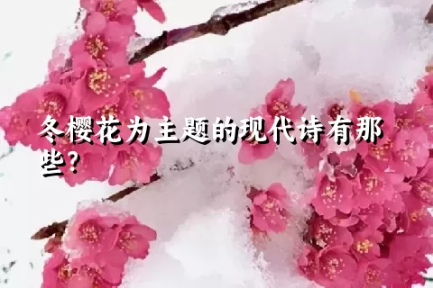 冬樱花为主题的现代诗有那些？