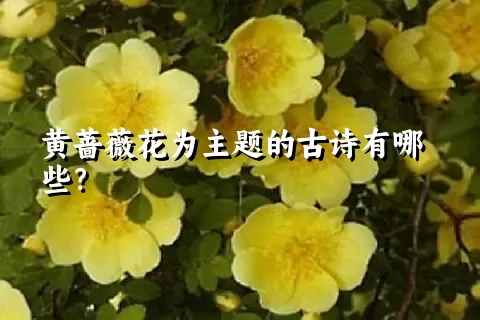 黄蔷薇花为主题的古诗有哪些？