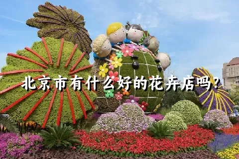 北京市有什么好的花卉店吗？