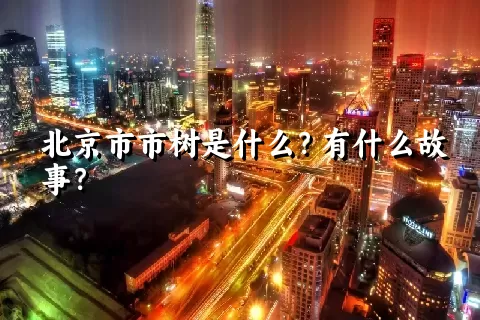 北京市市树是什么？有什么故事？