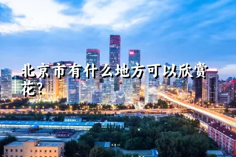 北京市有什么地方可以欣赏花？