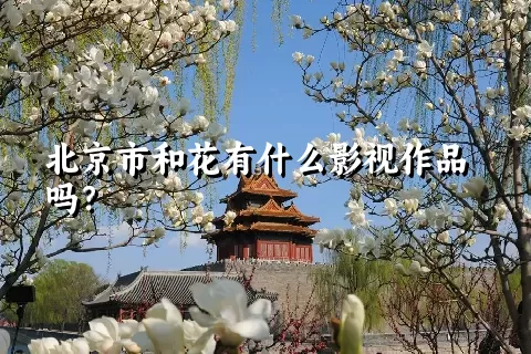 北京市和花有什么影视作品吗？