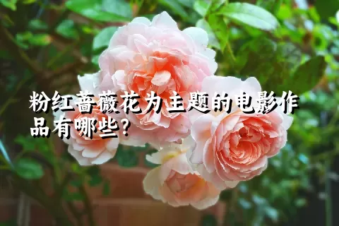 粉红蔷薇花为主题的电影作品有哪些？