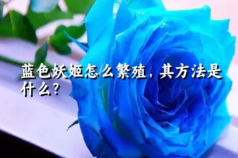 蓝色妖姬怎么繁殖，其方法是什么？