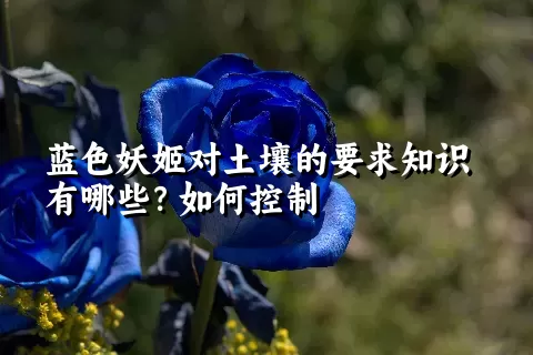 蓝色妖姬对土壤的要求知识有哪些？如何控制