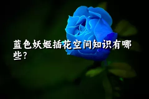 蓝色妖姬插花空间知识有哪些？