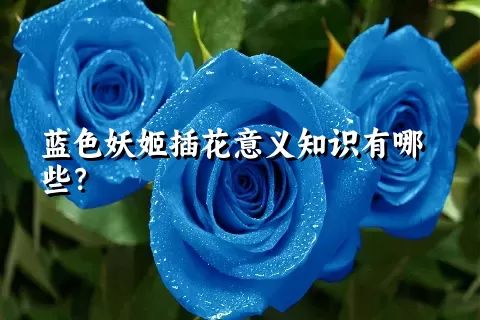 蓝色妖姬插花意义知识有哪些？