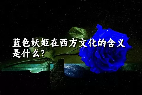 蓝色妖姬在西方文化的含义是什么？