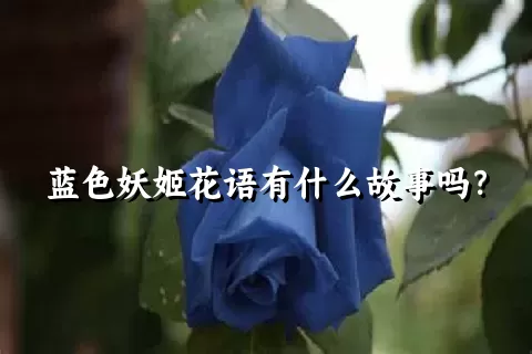 蓝色妖姬花语有什么故事吗？