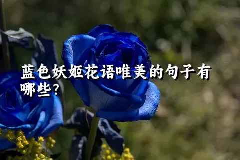 蓝色妖姬花语唯美的句子有哪些？