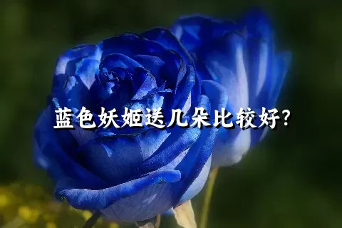 蓝色妖姬送几朵比较好？