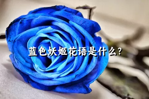 蓝色妖姬花语是什么？