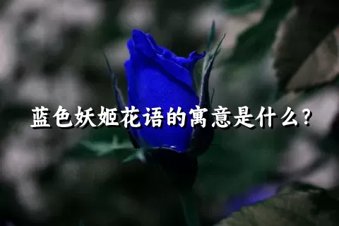 蓝色妖姬花语的寓意是什么？