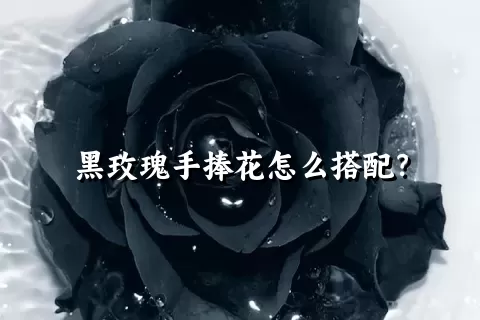 黑玫瑰手捧花怎么搭配？