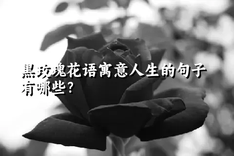 黑玫瑰花语寓意人生的句子有哪些？