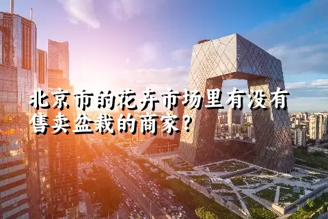 北京市的花卉市场里有没有售卖盆栽的商家？