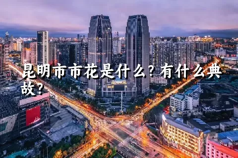 昆明市市花是什么？有什么典故？