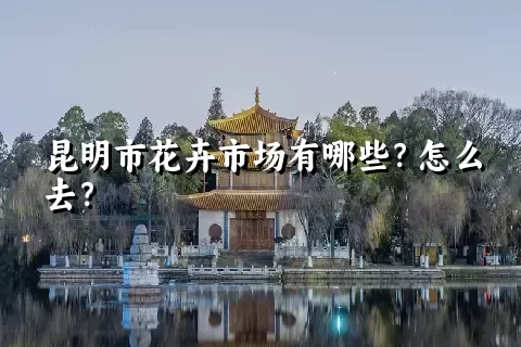 昆明市花卉市场有哪些？怎么去？