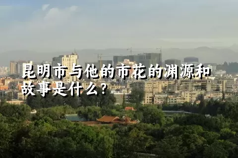 昆明市与他的市花的渊源和故事是什么？