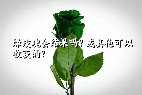 绿玫瑰会结果吗？或其他可以收获的？