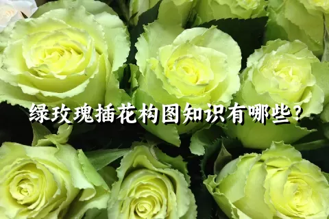 绿玫瑰插花构图知识有哪些？