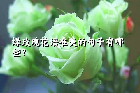 绿玫瑰花语唯美的句子有哪些？