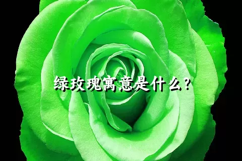 绿玫瑰寓意是什么？