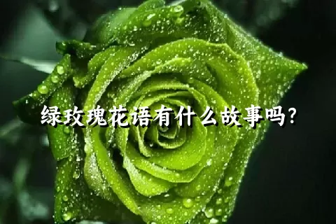 绿玫瑰花语有什么故事吗？