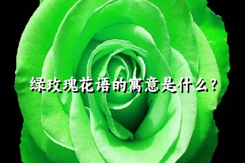 绿玫瑰花语的寓意是什么？