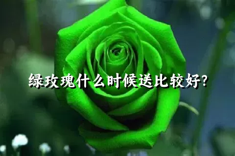 绿玫瑰什么时候送比较好？