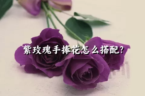 紫玫瑰手捧花怎么搭配？