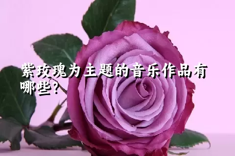 紫玫瑰为主题的音乐作品有哪些？