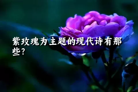 紫玫瑰为主题的现代诗有那些？